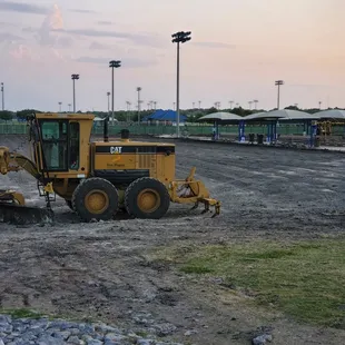 Switch grass for artificial turf