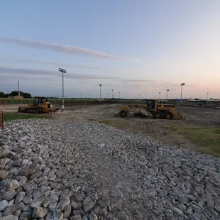 Switch grass for artificial turf