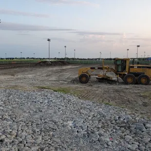 Switch grass for artificial turf