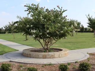 Crape Myrtle Trails of McKinney
