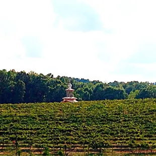 This picture was taken from the deck