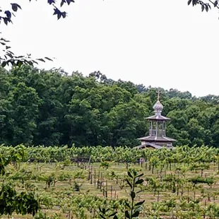 The Russian Chapel was disassembled in Russia and shipped to the vineyard and reassembled.