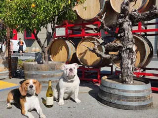 Woodside Vineyards
