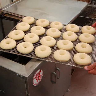 Doughnuts being made fresh in the Bakery!