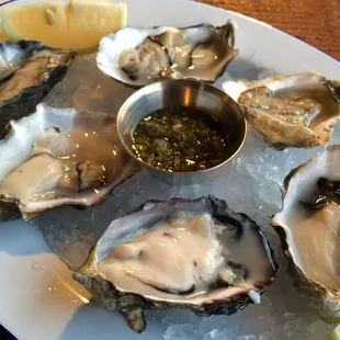 Flapjack from Washington ($12.95 for 6).  Large and plump!