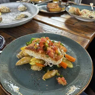 Halibut