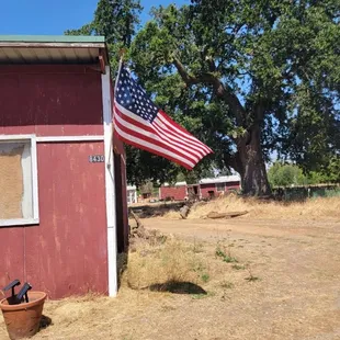 Enjoy the shade under the 430 year old Heritage Oak