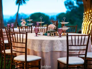 Elegant Pink Elephant