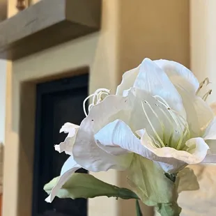 Photo from the waiting room ... sweet touch