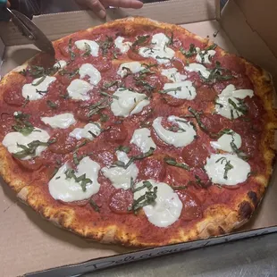 Pizza Margherita so good!