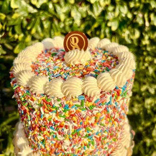 Sprinkle Snow white cake