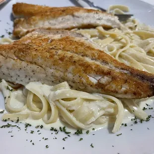 Bronzino with fettuccine