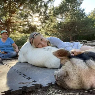 Goat pillow and piggy talk