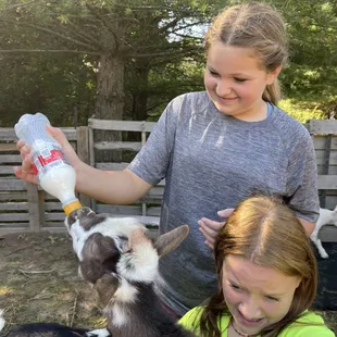 Kip getting his morning bottle