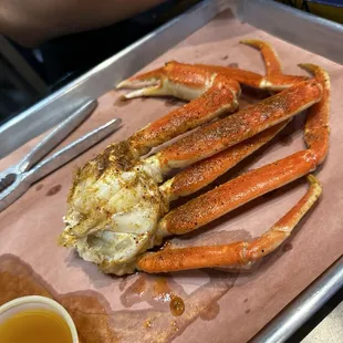Snow Crab