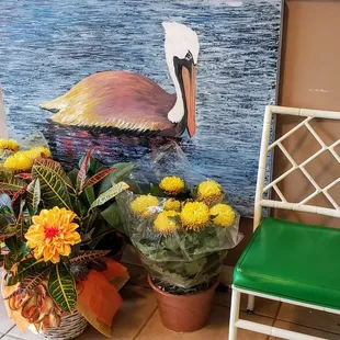 a pelican sitting on the water