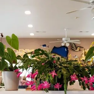 a restaurant counter with flowers in vases