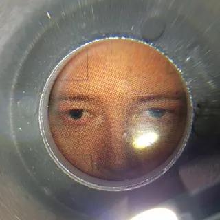 Scott F.
