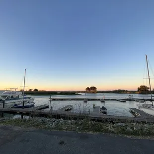 boats docked at a marina