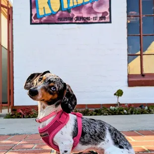 54 years in business