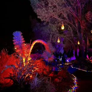 Garden of D&apos;Lights 2022