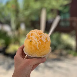 ICED Gourmet Shave Ice Pop Up