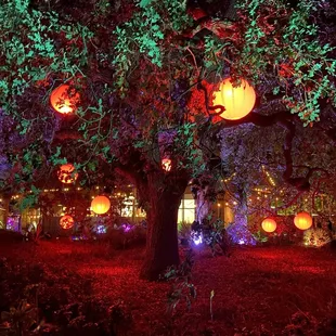 Garden of D&apos;lights 2024!