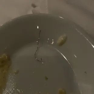 Piece of a metal grill brush from the crab cakes.