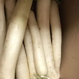 Daikon Radish