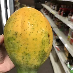 Papaya