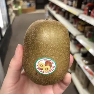 Golden Kiwi