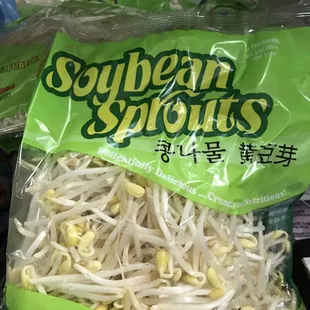 Soy Bean Sprouts