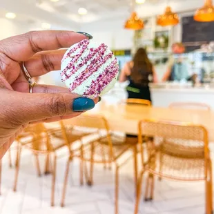 Pistachio Rose Macaron