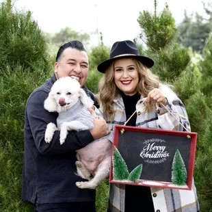 Holiday Christmas tree farm session with family and dog