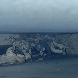 This is fungus growing and I've been very sick since we bought this.