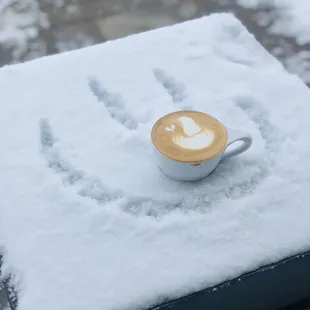 food, oysters and mussels