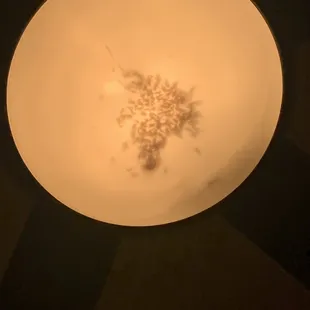 Looks like 100 dead flies In the ceiling fan.
