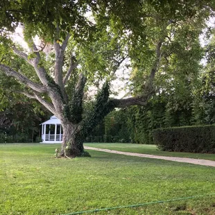 Garden gazebo