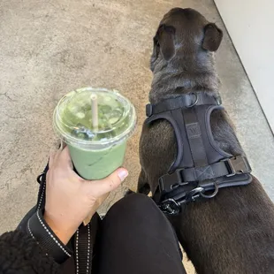 We love a dog friendly spot! Waiting with a matcha