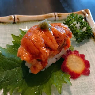 Hokkaido Uni