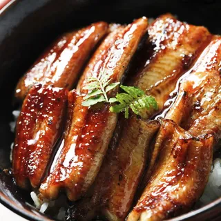 Eel Sashimi