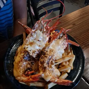 Golden lobster