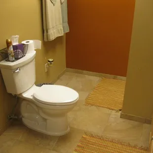 Bathroom addition to basement... toilet