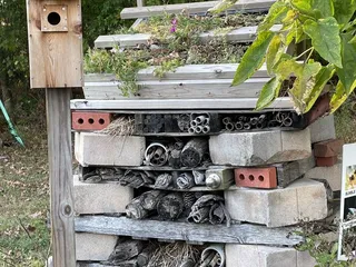 Virginia Beach Farmers Market