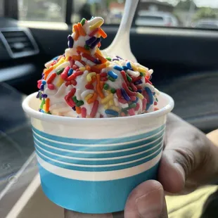 Vanilla with sprinkles