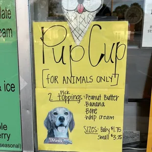 Pup cup!