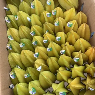 Star fruit "carambola"