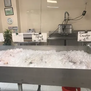 a large display of seafood