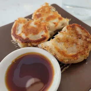 Pan Fried Pork Dumplings