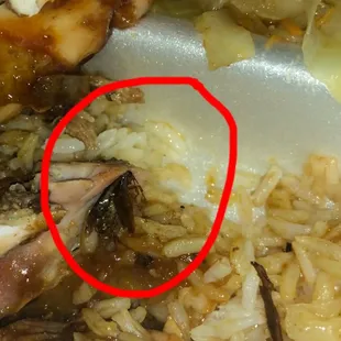 Jerk chicken